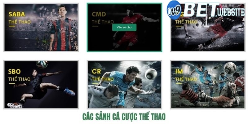 Chọn sảnh cược thể thao