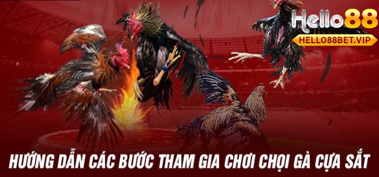 Hướng dẫn những bước tham gia chơi chọi gà cựa sắt