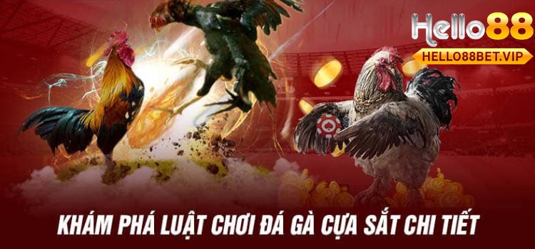 Khám phá Luật chơi và quy tắc chơi đá gà cựa sắt chi tiết